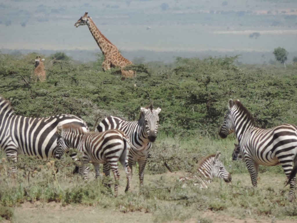 YHA Kenya Travel | Image #29/41 | 