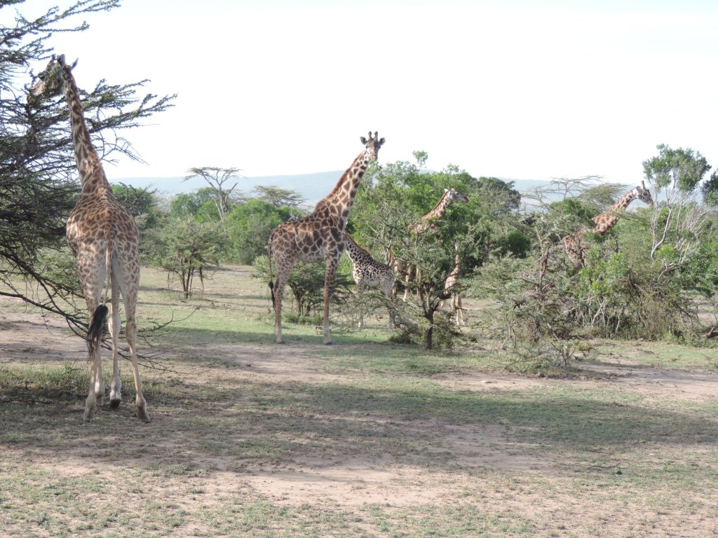 YHA Kenya Travel | Image #8/41 | 