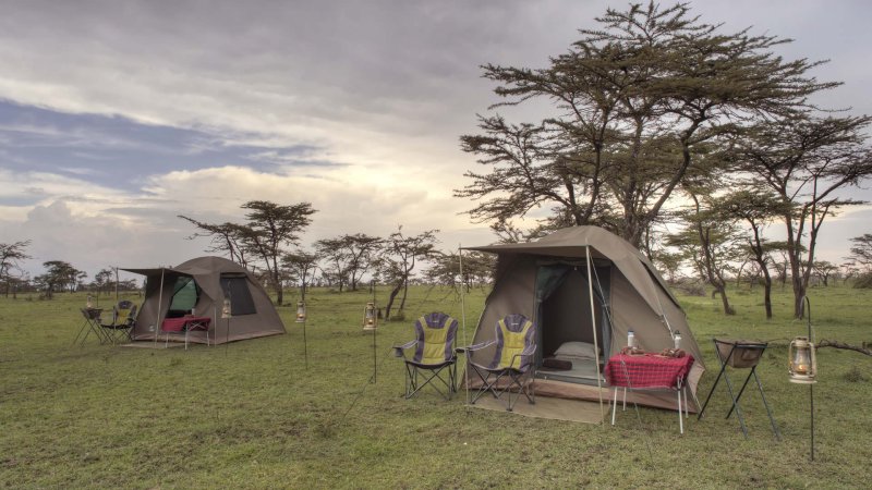 3 Days Camping Safari | Arusha, Tanzania | Bed & Breakfasts | Image #1/6 | 