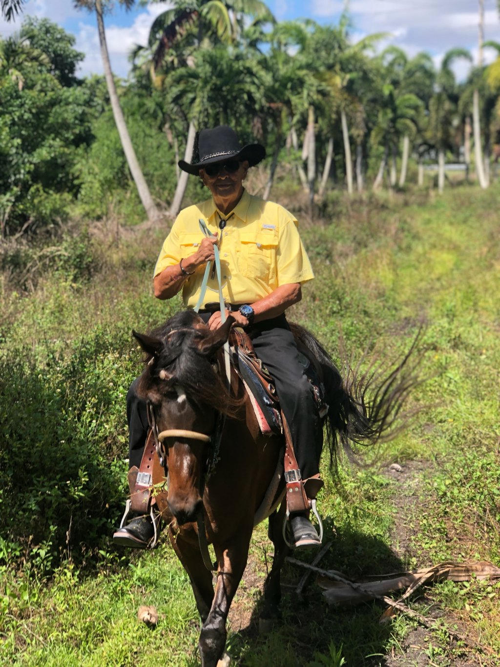 American Horse Trails | Davie, Florida  | Horseback Riding & Dude Ranches | Image #1/5 | 