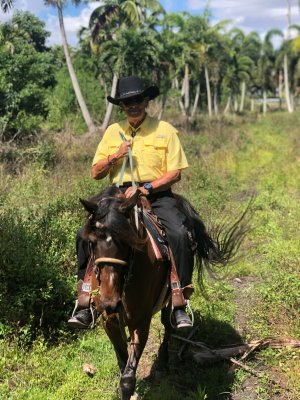 American Horse Trails | Davie, Florida Horseback Riding & Dude Ranches | Fort Lauderdale, Florida Adventure Travel