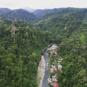 See the Orangutan and Jungle trekking | Hiking & Trekking Medan, Indonesia | Hiking & Trekking Indonesia