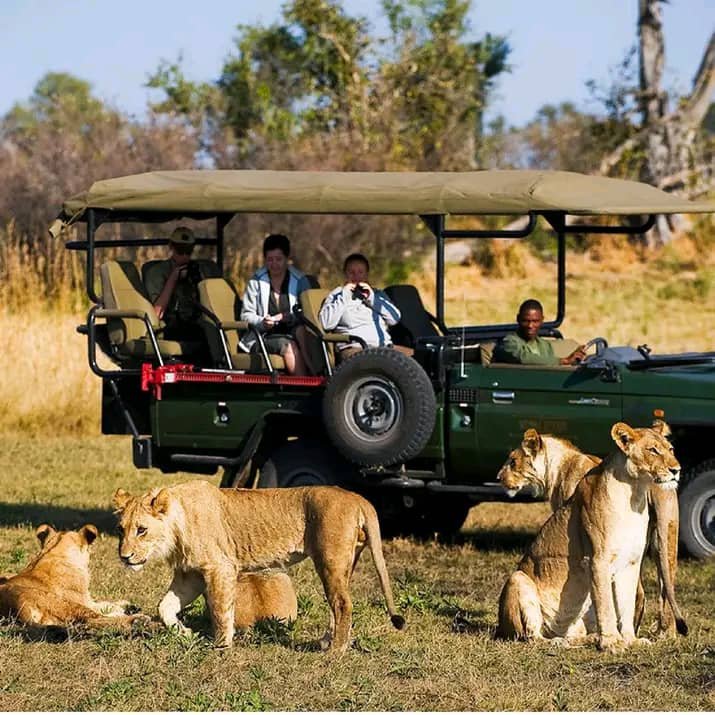 Safari Game Drive. | Arnolubi Safaris & Tours | Image #3/3 | 