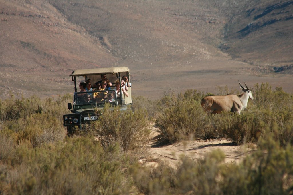Big 5 Safari | Cape  Town, South Africa | Wildlife & Safari Tours | Image #1/6 | 
