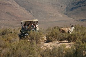 Big 5 Safari Photo