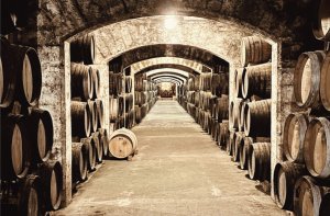 Palma Distillery Tour With 6 Spirits Tasting | Balearic Islands, Spain | Wine Tasting